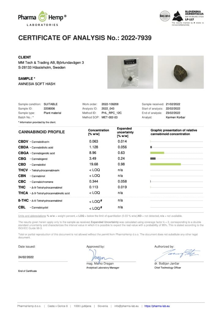Amnesia Soft Hash COA
